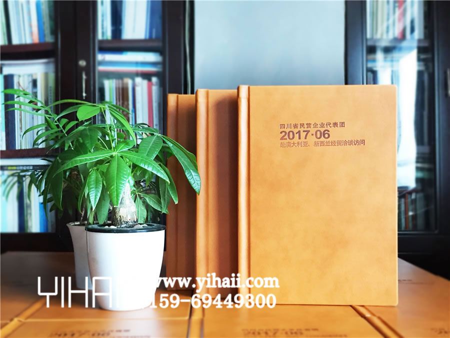 昆明憶海文化出國(guó)旅游畫(huà)冊(cè)定制